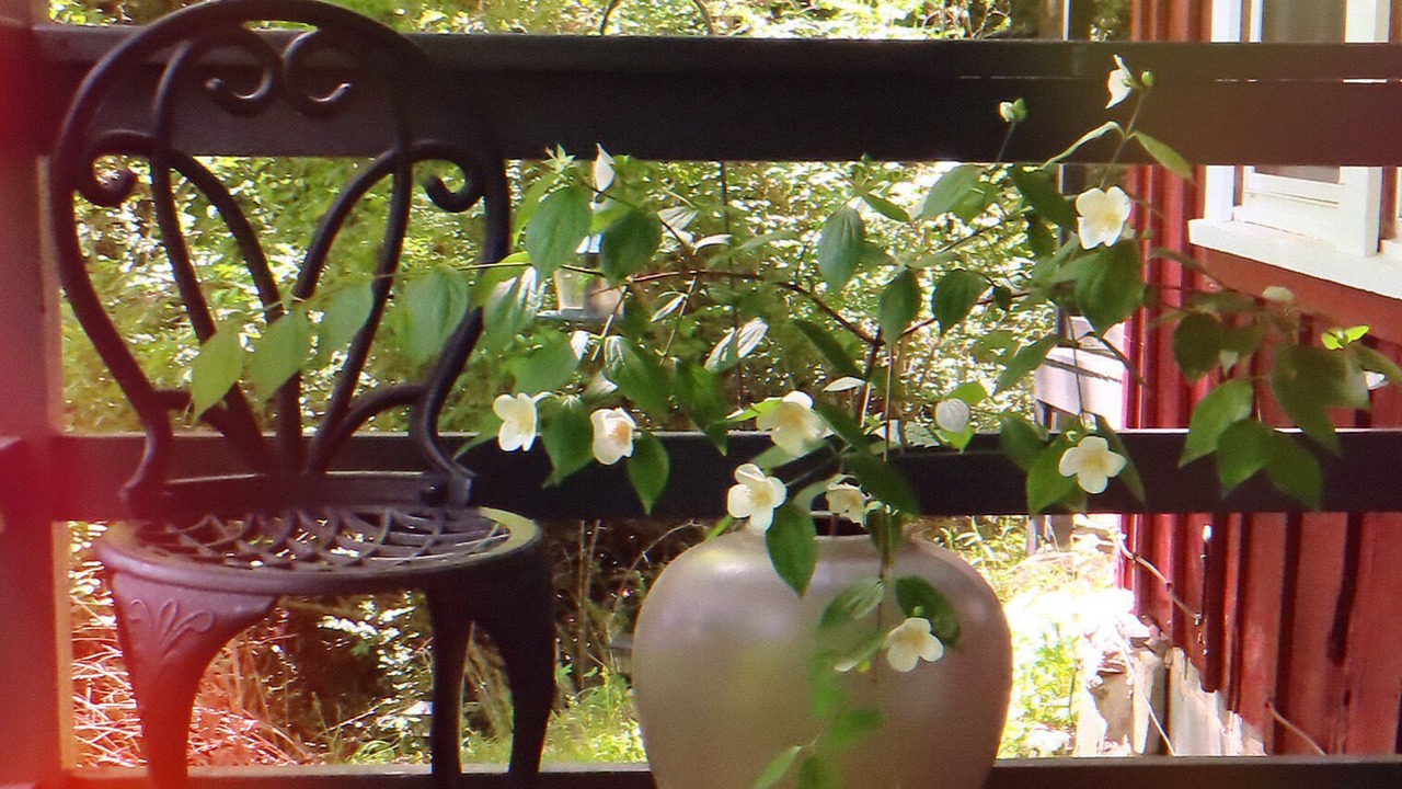 Photo of Outdoor in Pisgah Forest