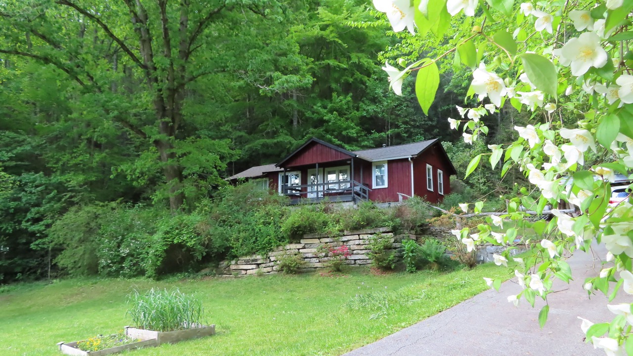 Photo of Outdoor in Pisgah Forest