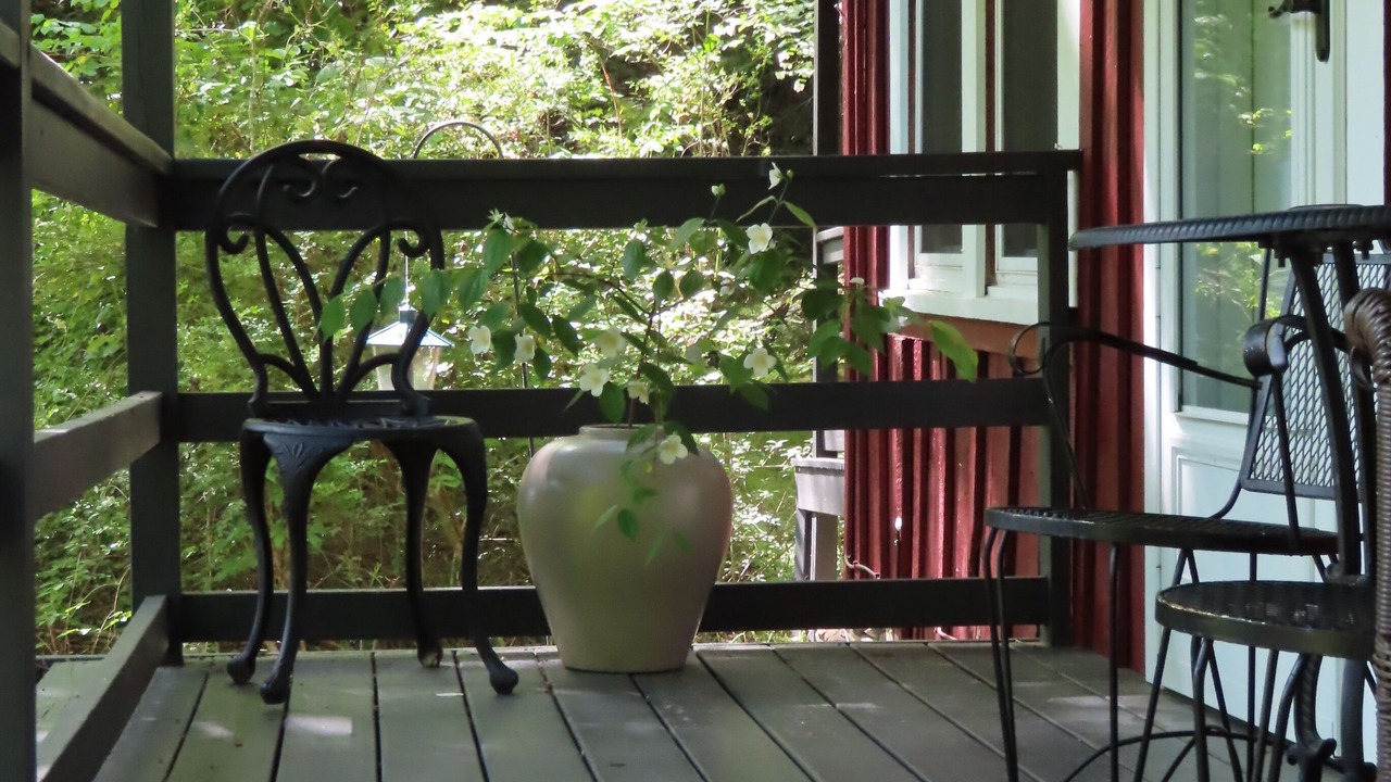 Photo of Patio Balcony in Pisgah Forest