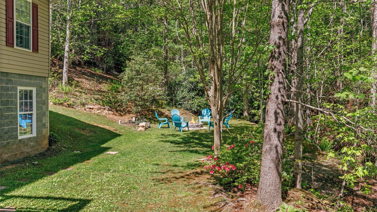 Photo of Others in Pisgah Forest