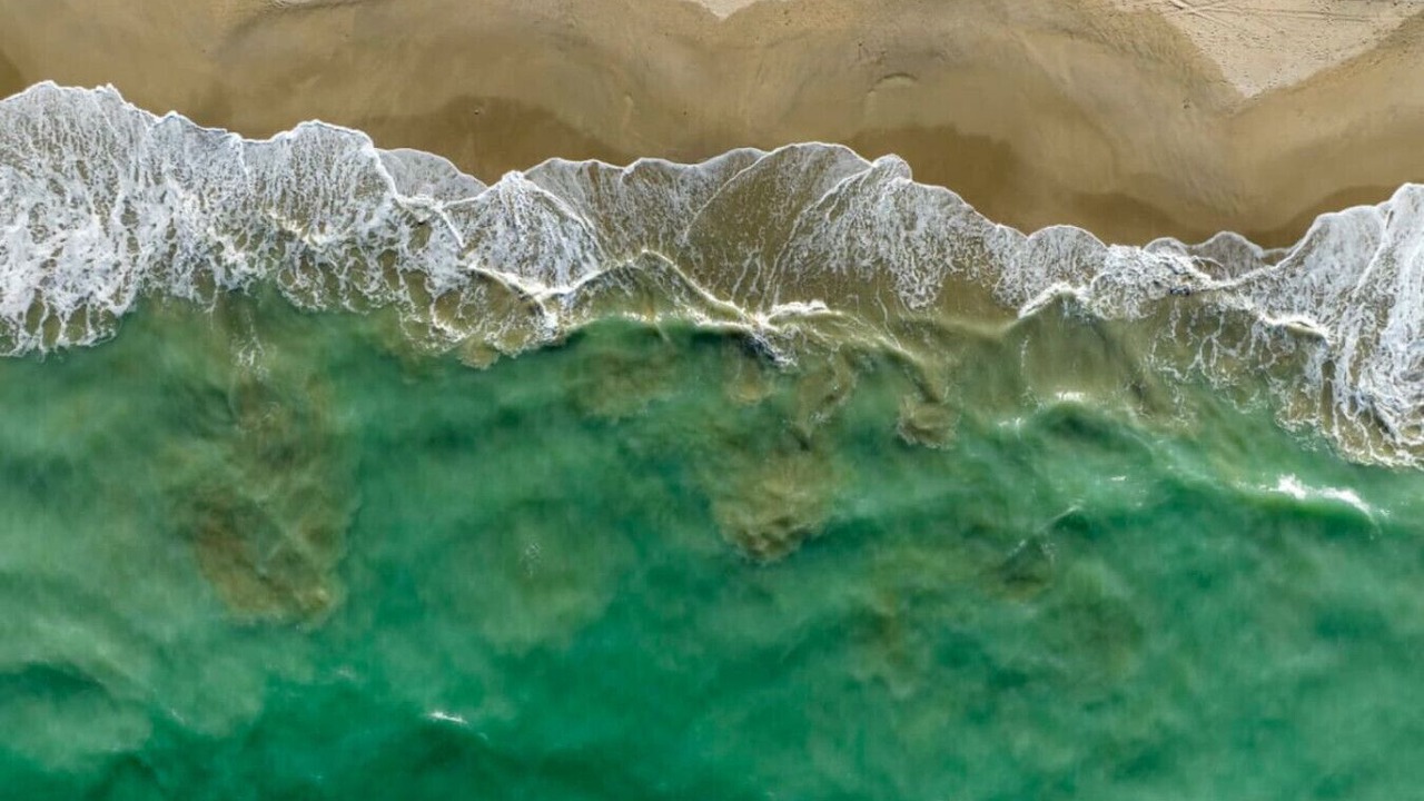 Photo of Others in Vero Beach