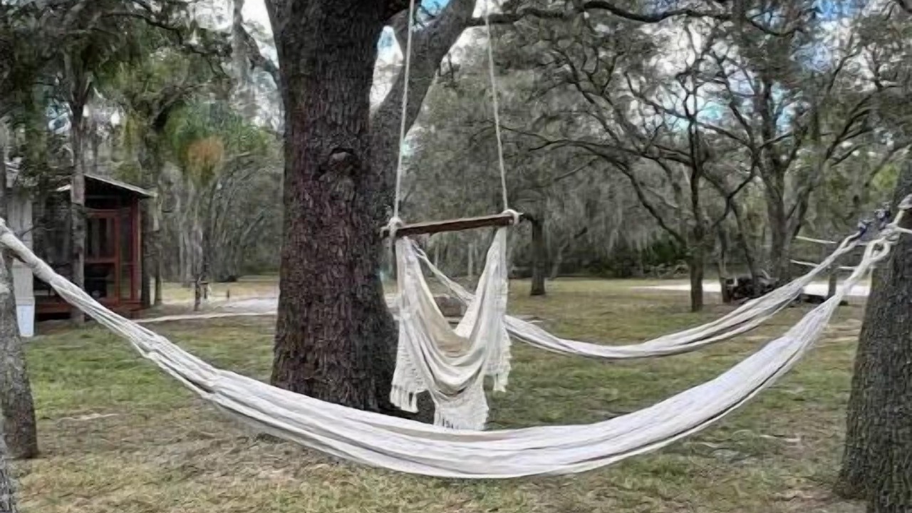 Photo of Outdoor in Fedhaven