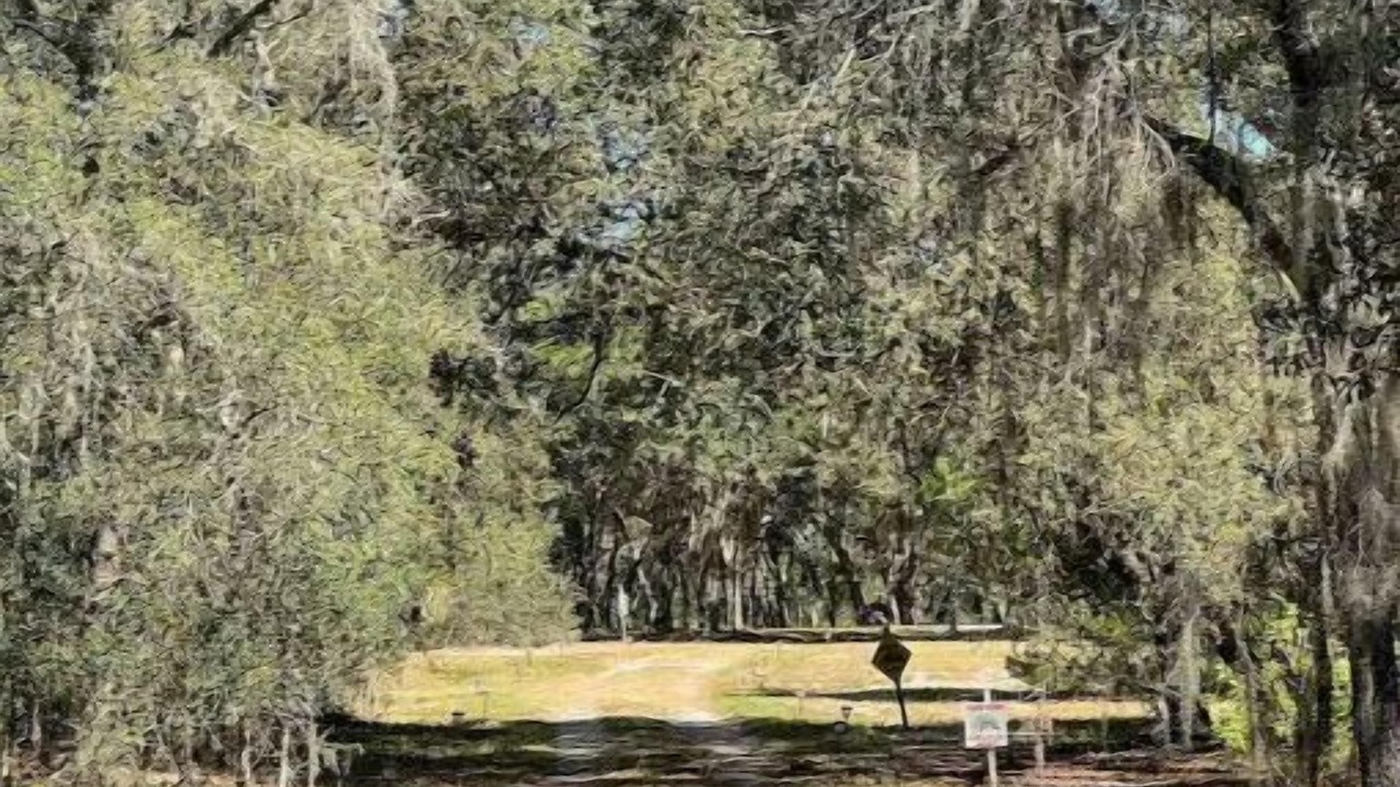 Photo of Outdoor in Fedhaven