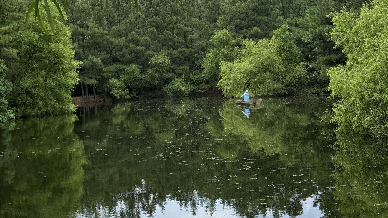 Photo of Others in Easley