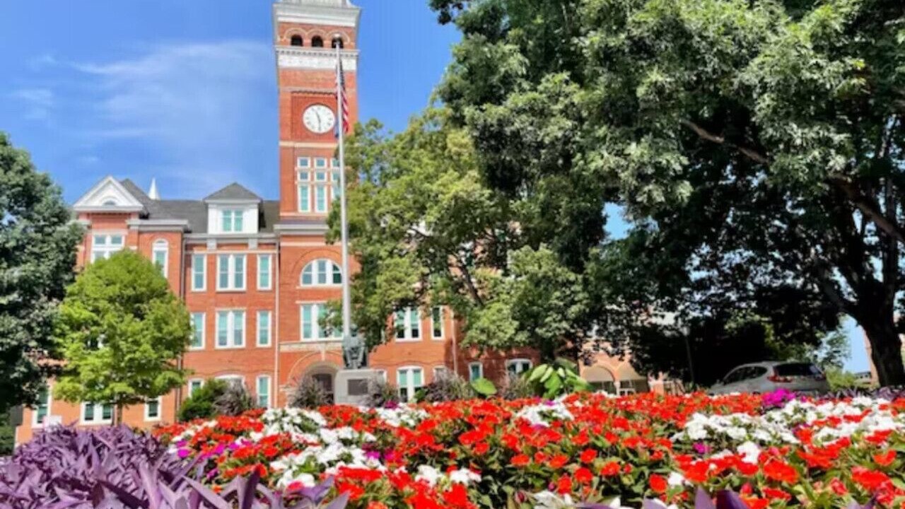 Photo of Others in Clemson