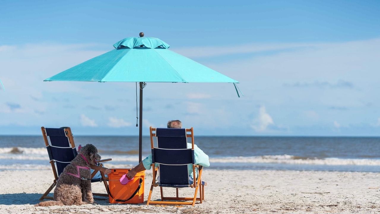 Photo of Others in Saint Helena Island