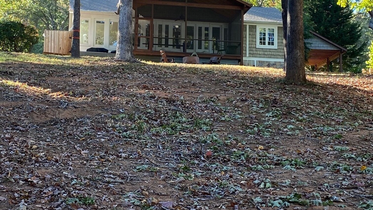 Photo of Outdoor in Townville