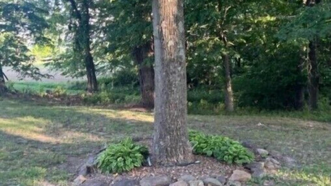 Photo of Outdoor in Ava