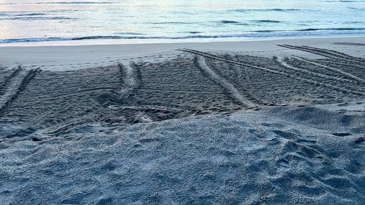 Photo of Others in Floridana Beach
