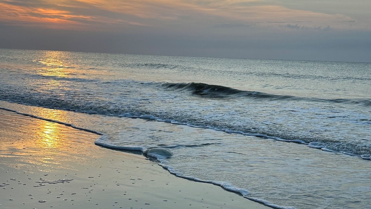 Photo of Others in Folly Field