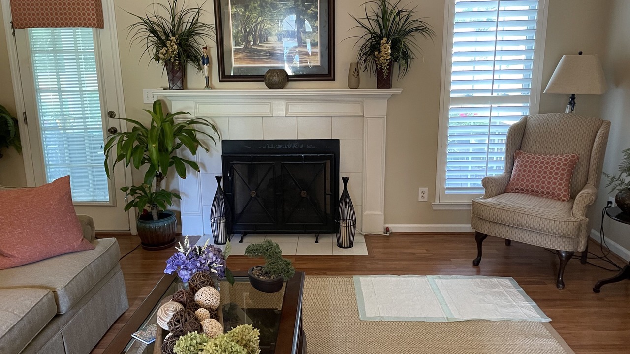 Photo of Livingroom in North Augusta