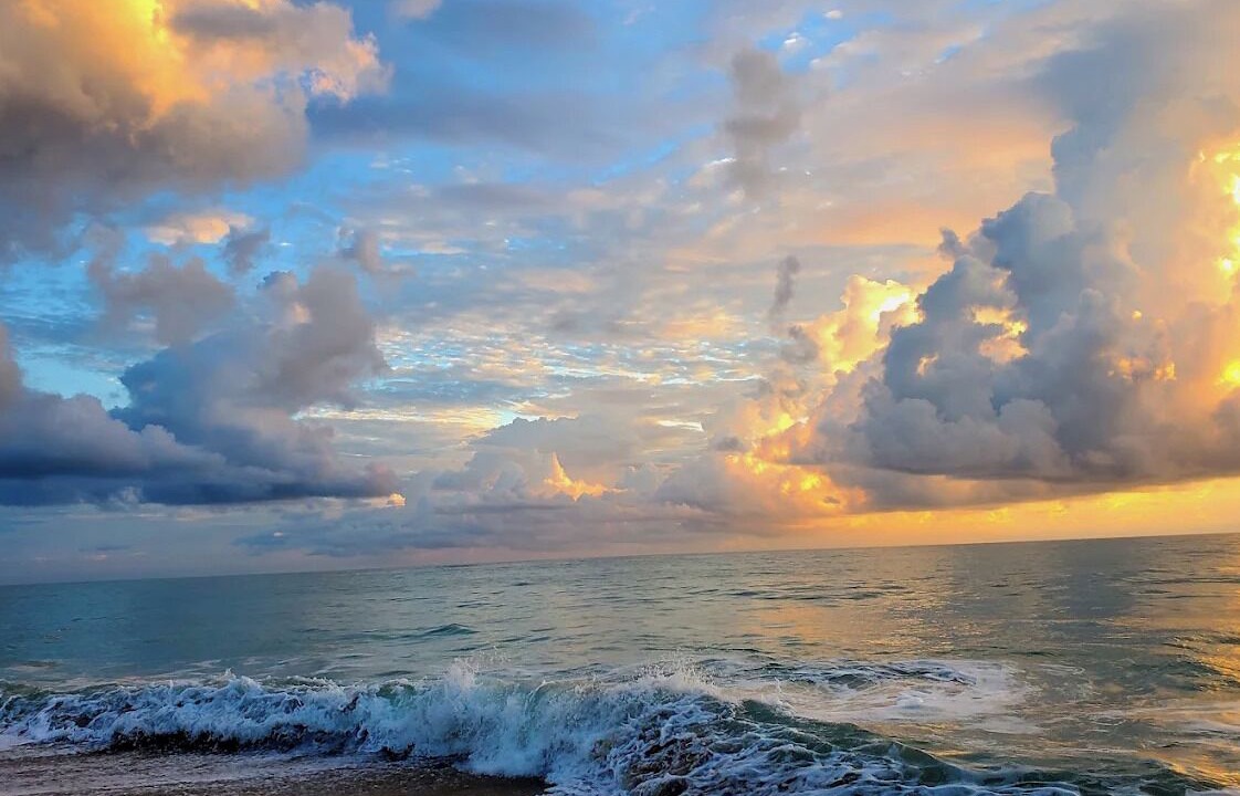 Photo of Others in Vero Beach South