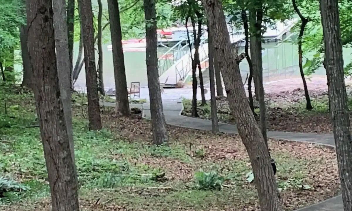 Photo of Outdoor in Martin