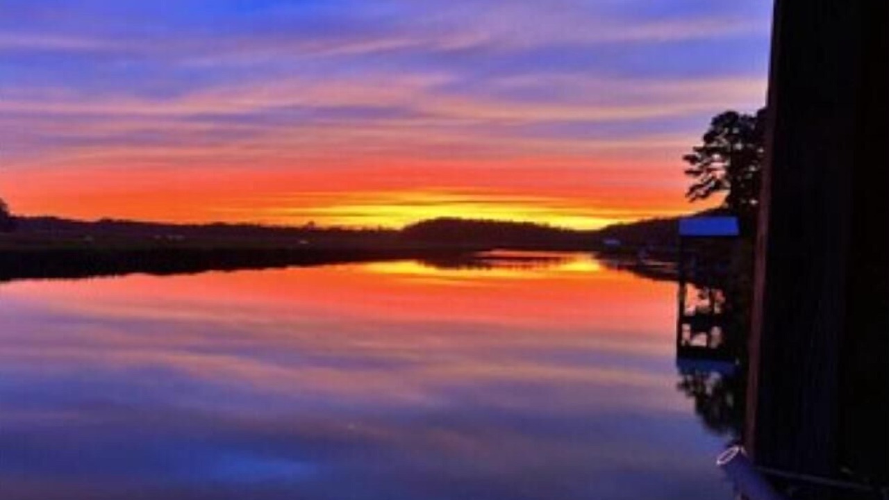 Photo of Others in Charleston County