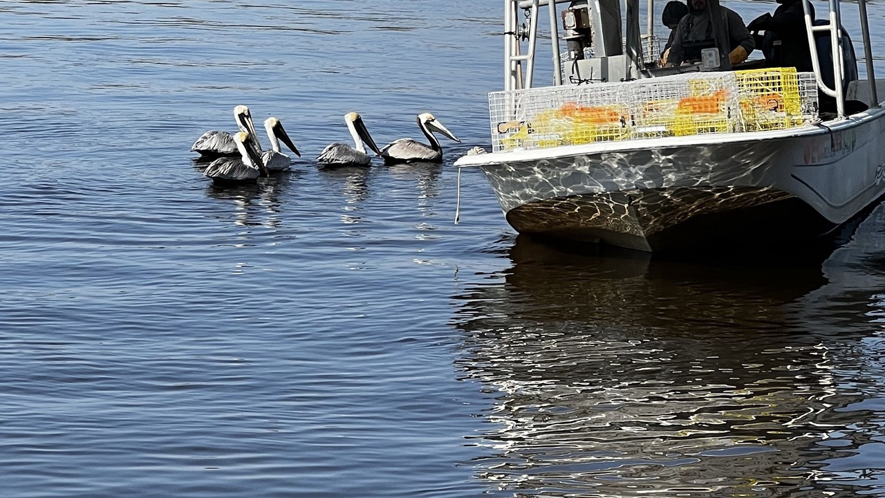 Photo of Others in Charleston County