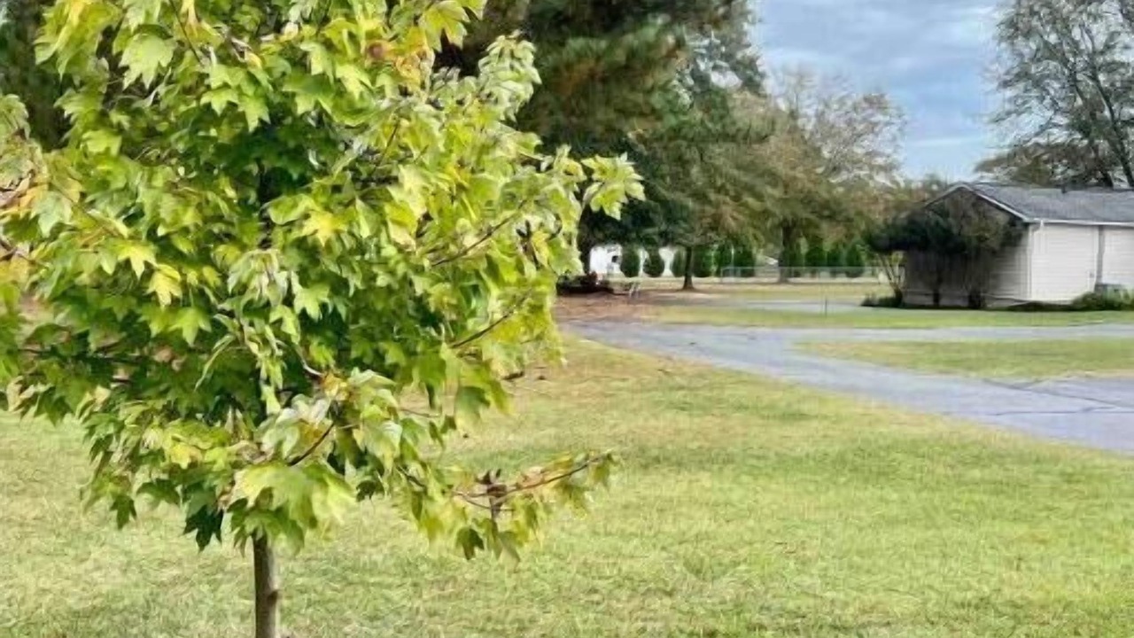 Photo of Outdoor in Aiken