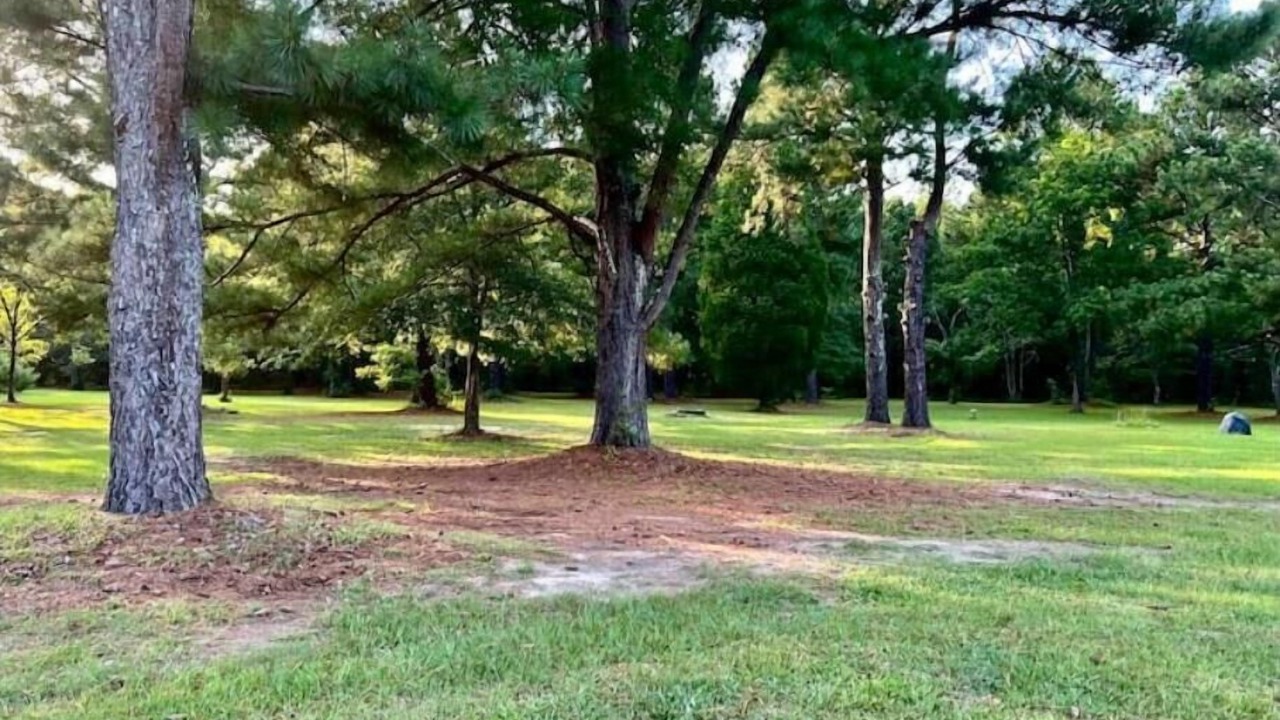 Photo of Others in Aiken