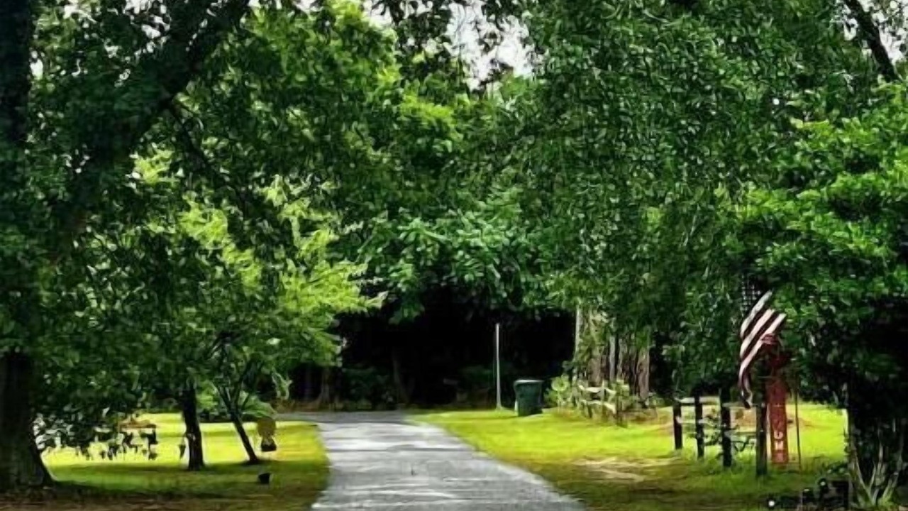 Photo of Outdoor in Aiken