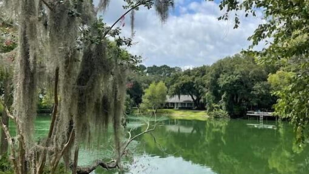 Photo of Outdoor in Whitemarsh Island