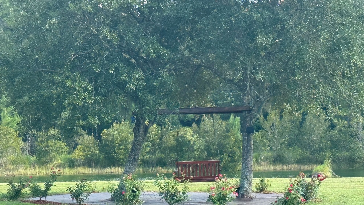 Photo of Others in Callahan