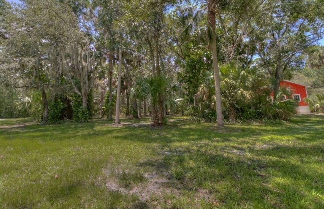 Photo of Outdoor in Palm City