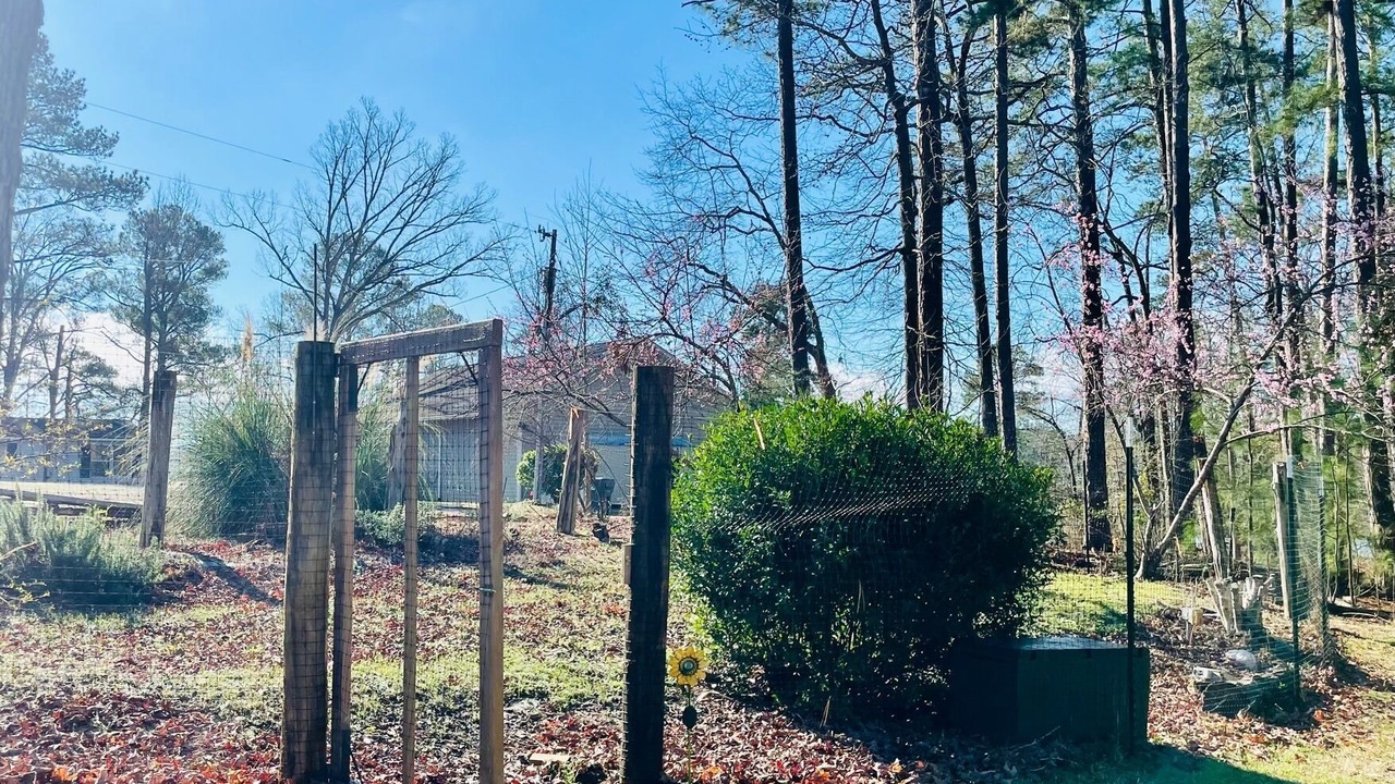 Photo of Outdoor in Lincolnton