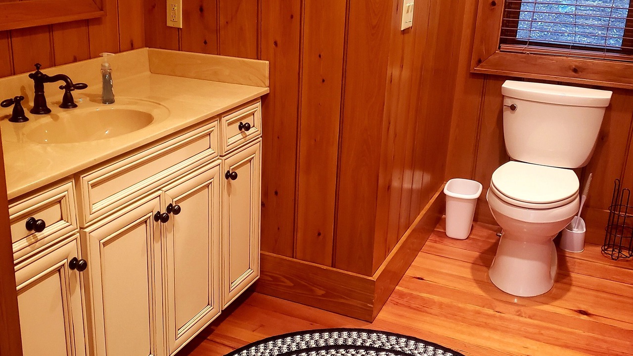 Photo of Bathroom in Tuckasegee