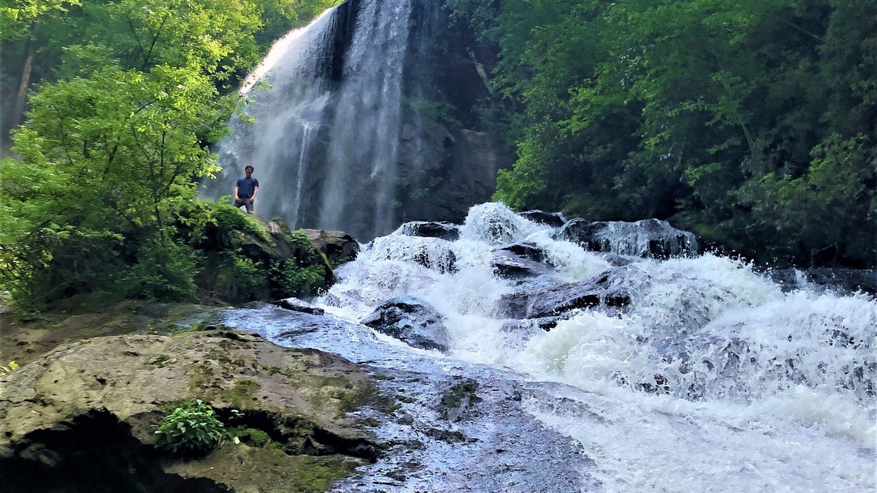 Photo of Others in Tuckasegee