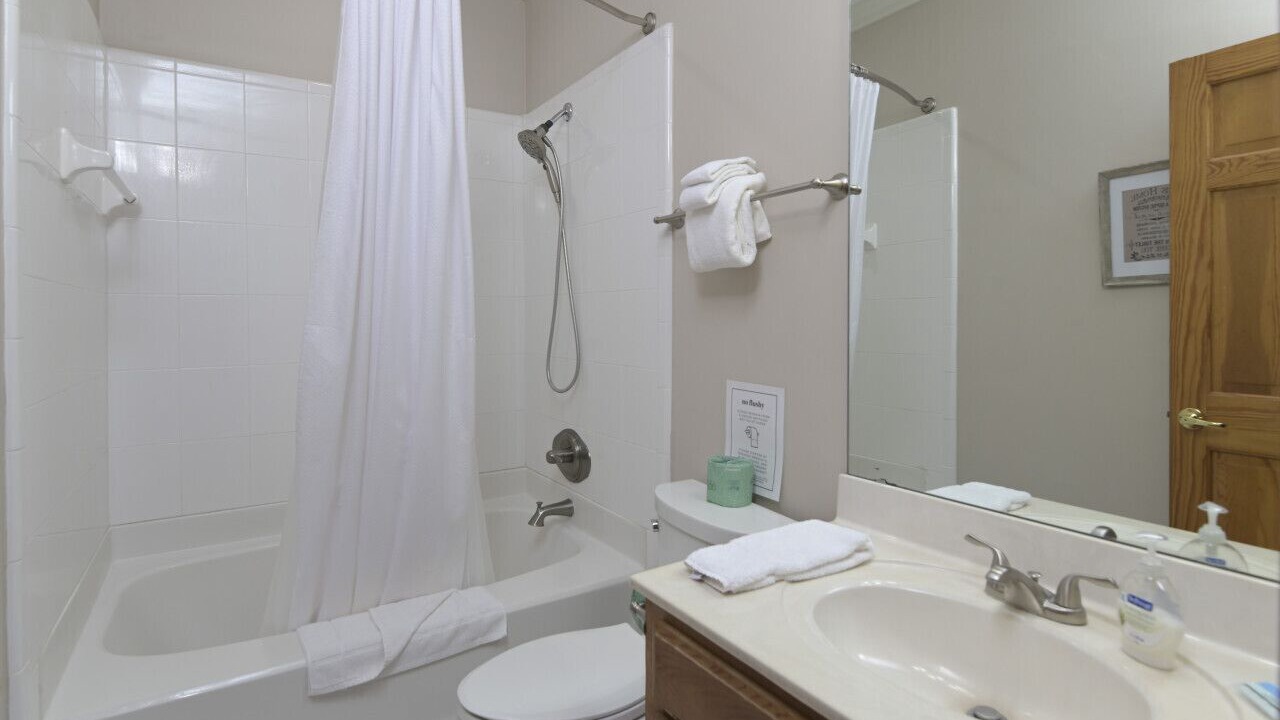 Photo of Bathroom in Chapin