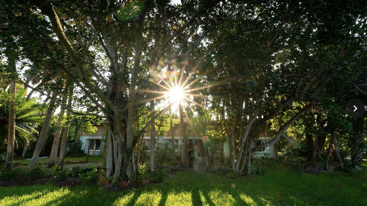 Photo of Outdoor in Melbourne Beach