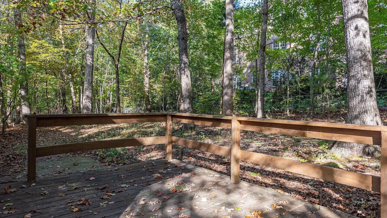 Photo of Outdoor in North Raleigh