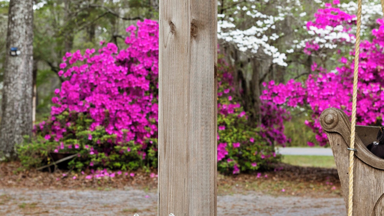 Photo of Outdoor in Bethera
