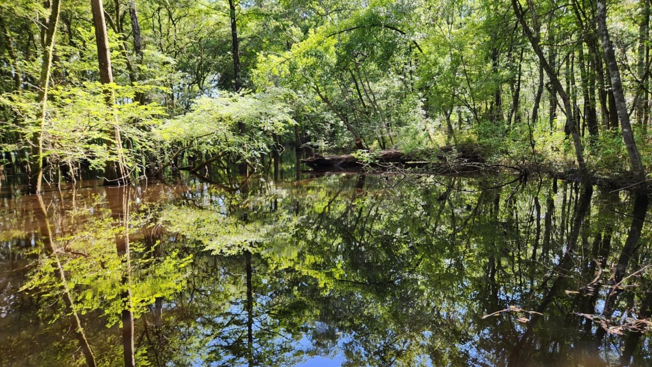 Photo of Others in Colleton County