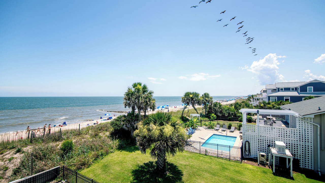 Photo of Outdoor in Edisto Island