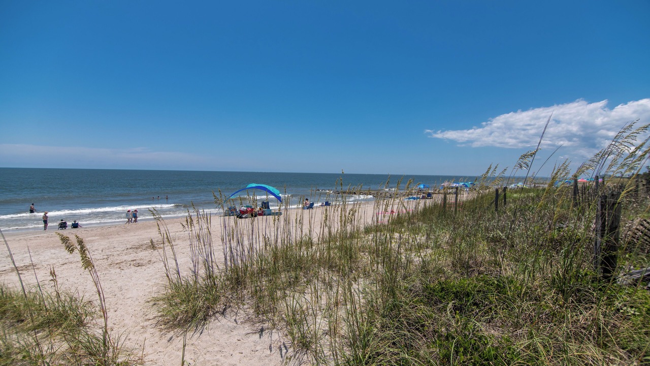 Photo of Others in Edisto Island