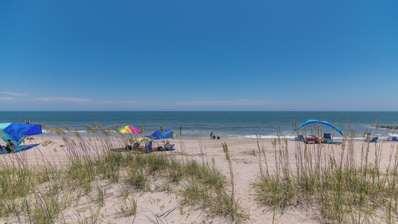 Photo of Others in Edisto Island