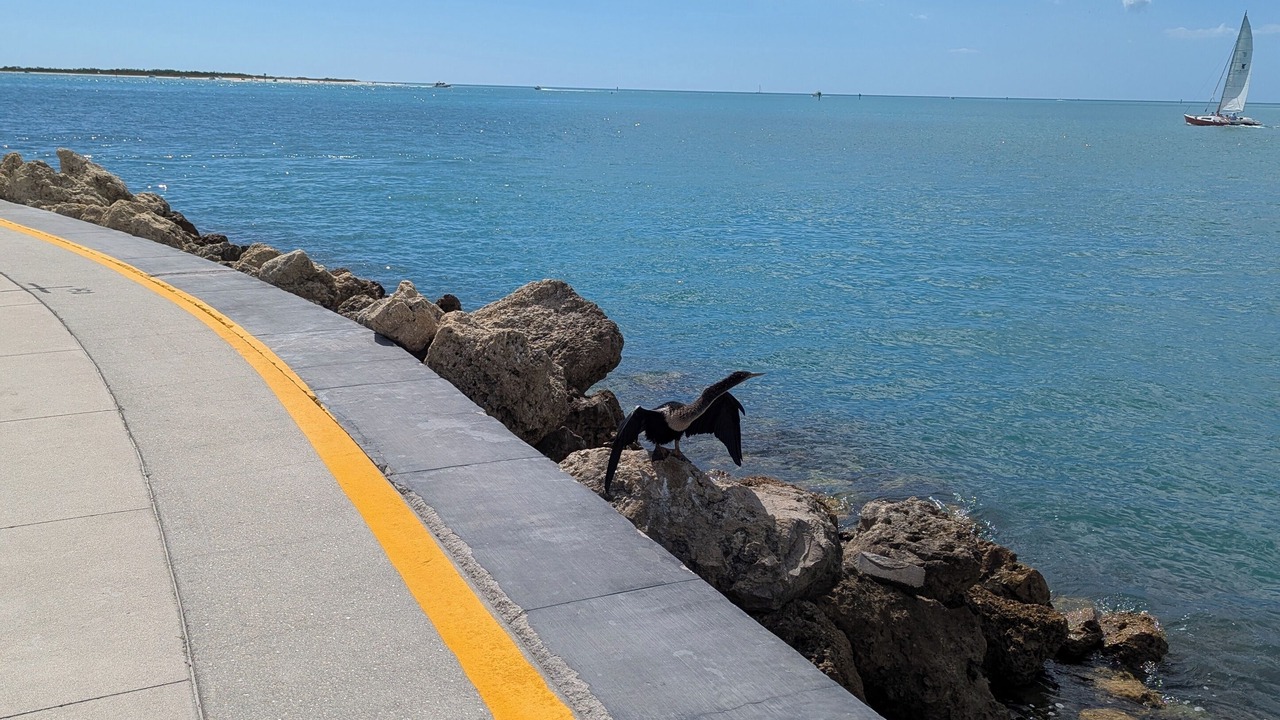 Photo of Others in Isles of Capri