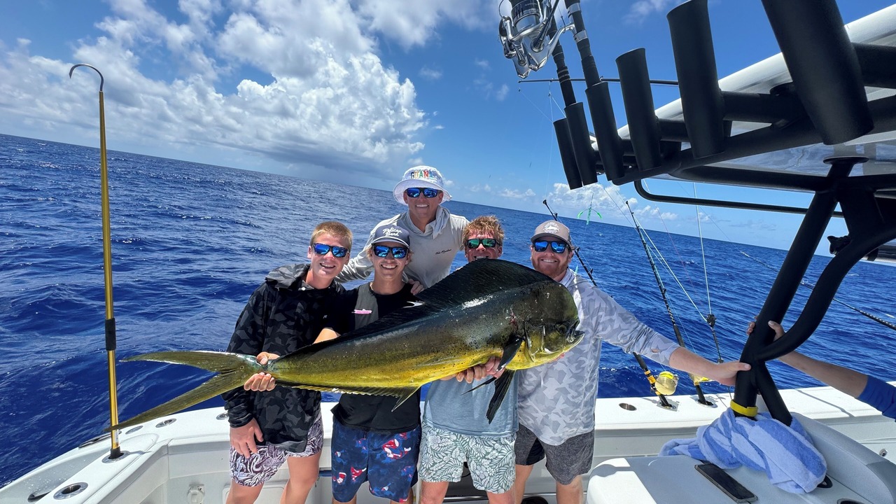 Photo of Others in Hammock Bay