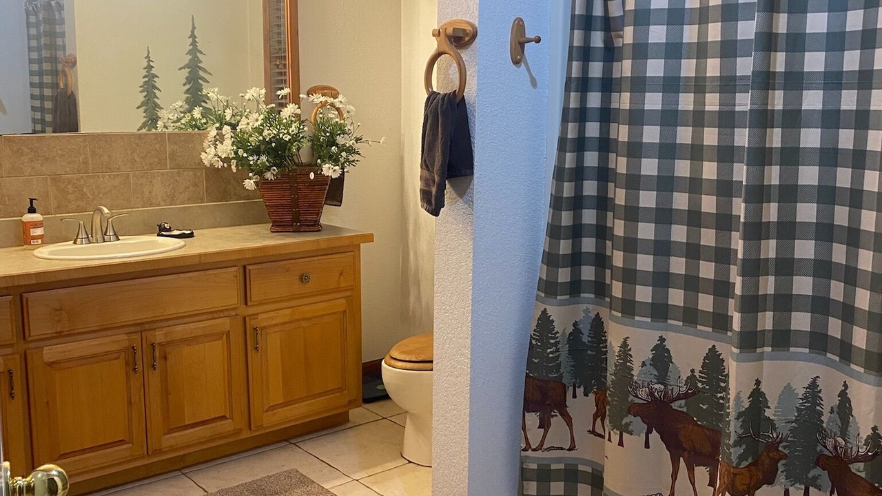 Photo of Bathroom in Topton