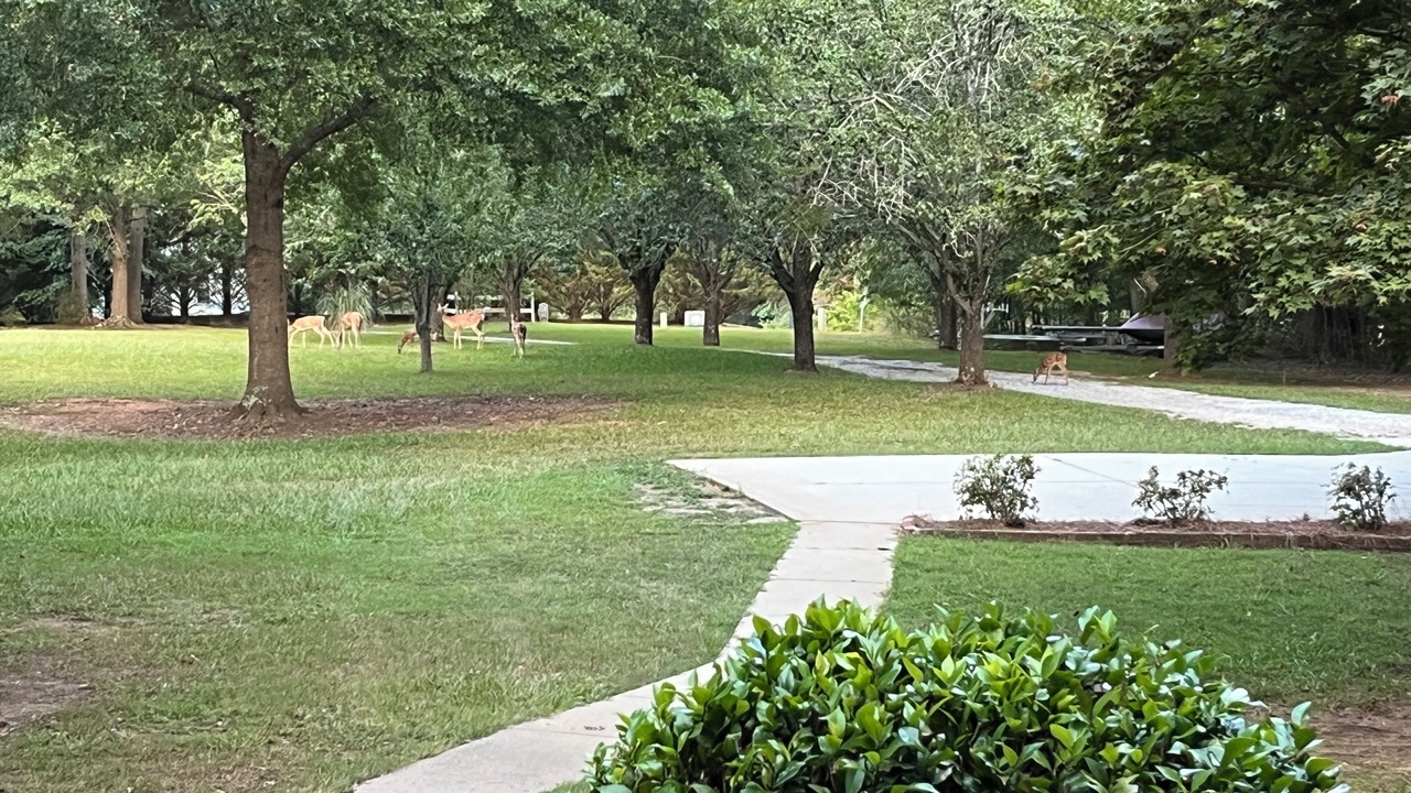 Photo of Outdoor in Townville
