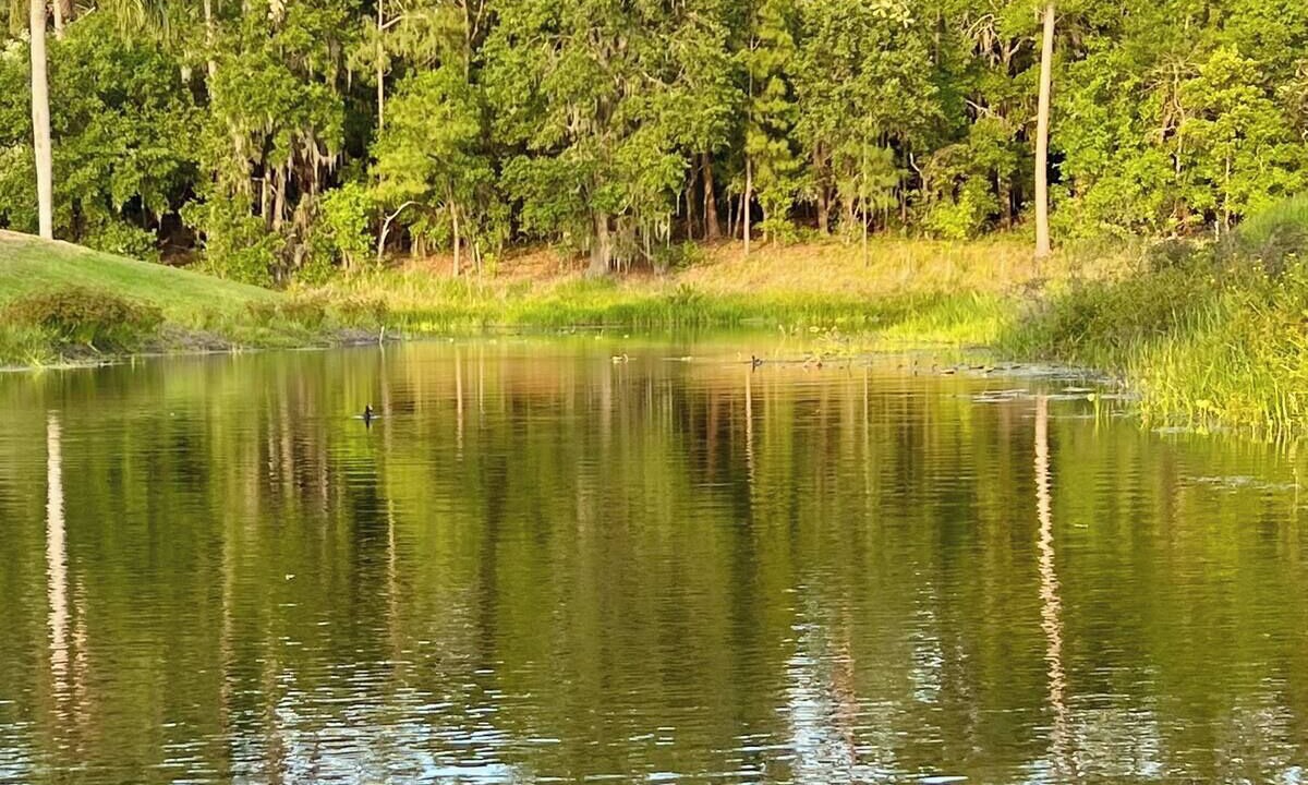 Photo of Others in Crooked Lake Park