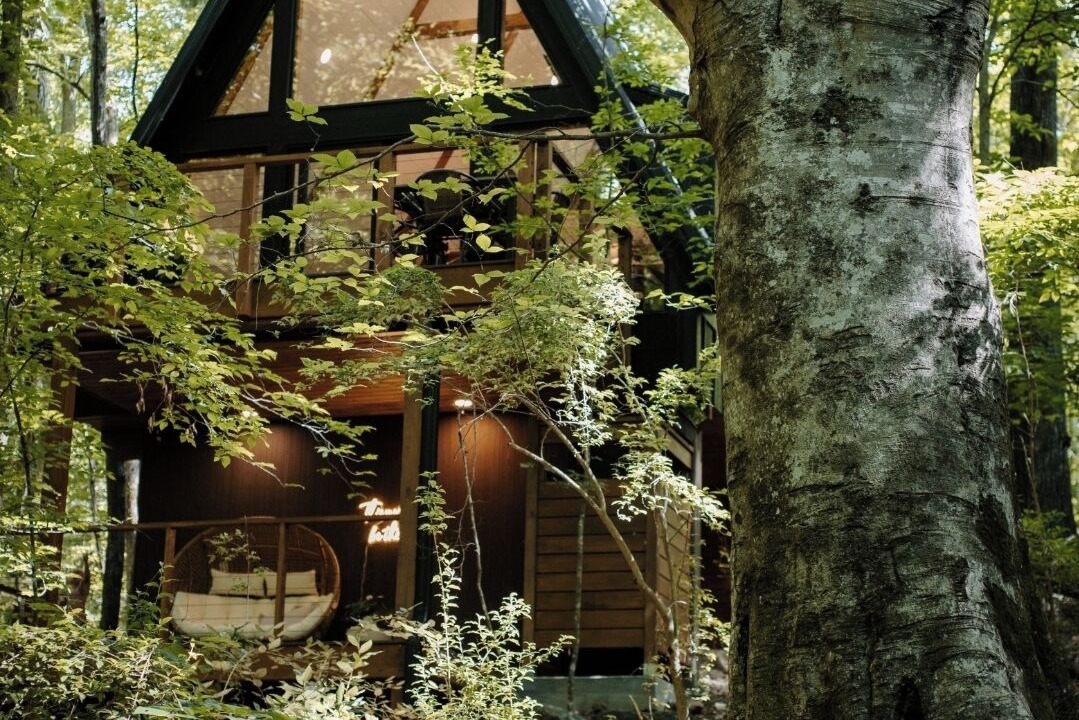 Photo of Outdoor in Abbeville
