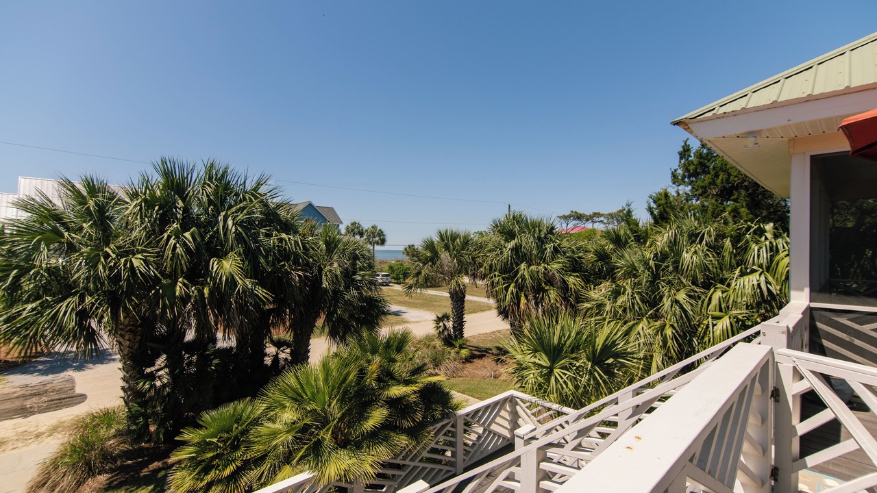 Photo of Outdoor in Edisto Island