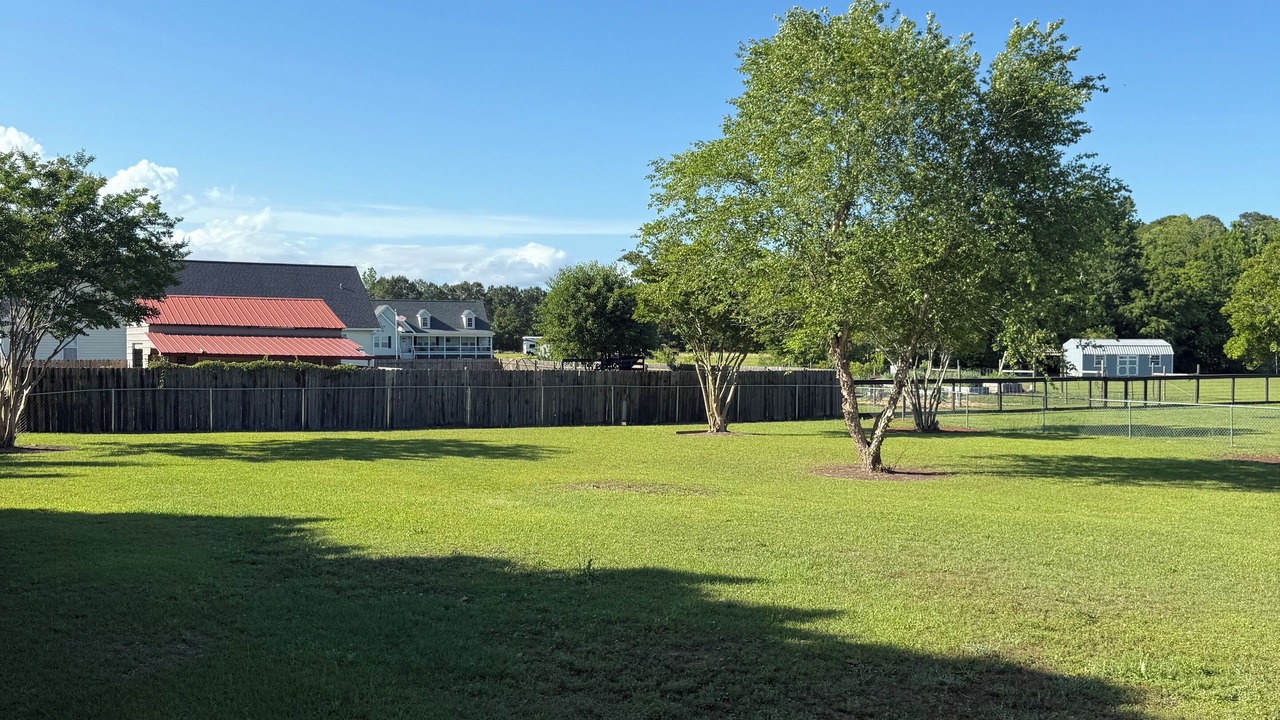 Photo of Outdoor in Newport