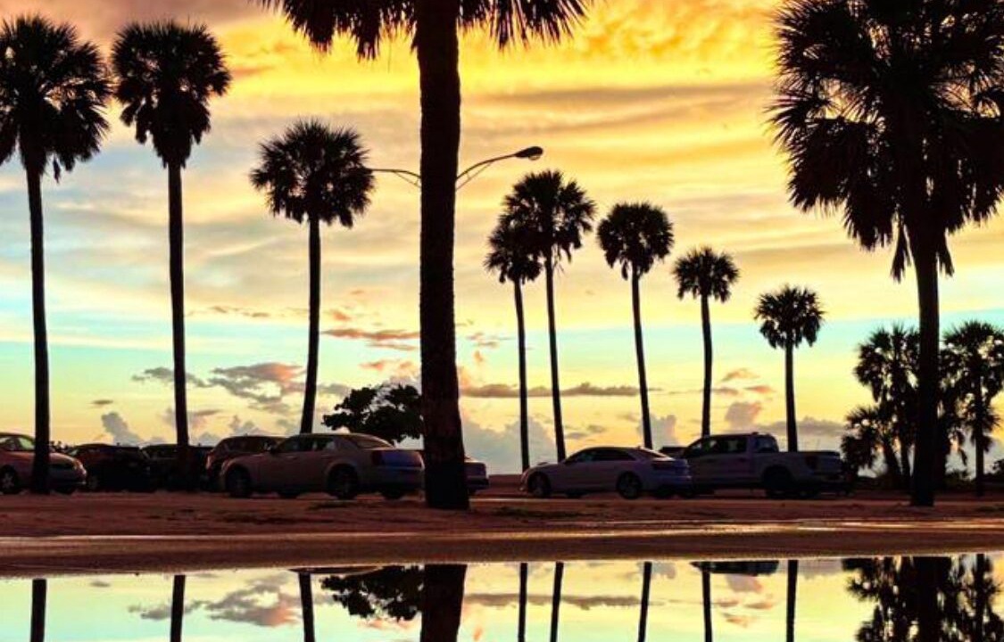 Photo of Others in North Port
