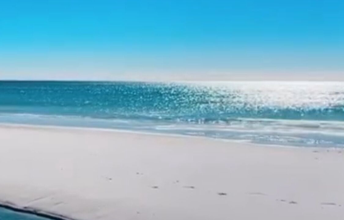 Photo of Others in North Port