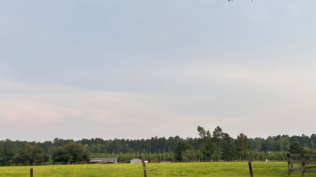 Photo of Others in Eutawville
