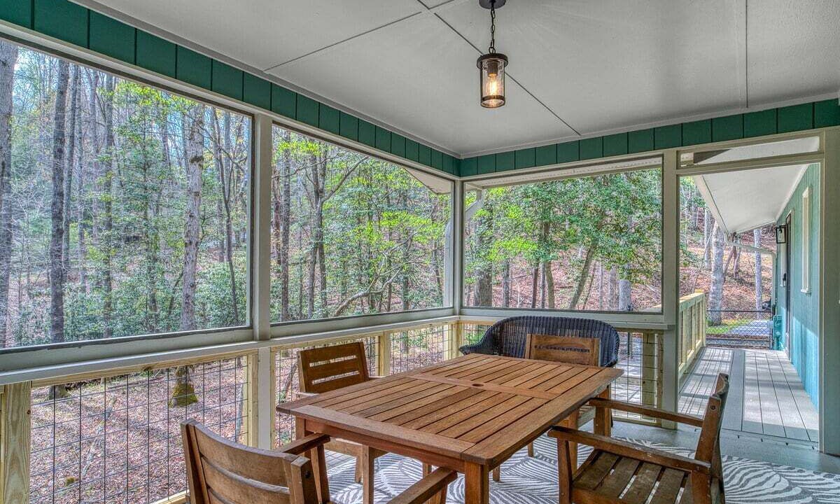 Photo of Outdoor in Pisgah Forest