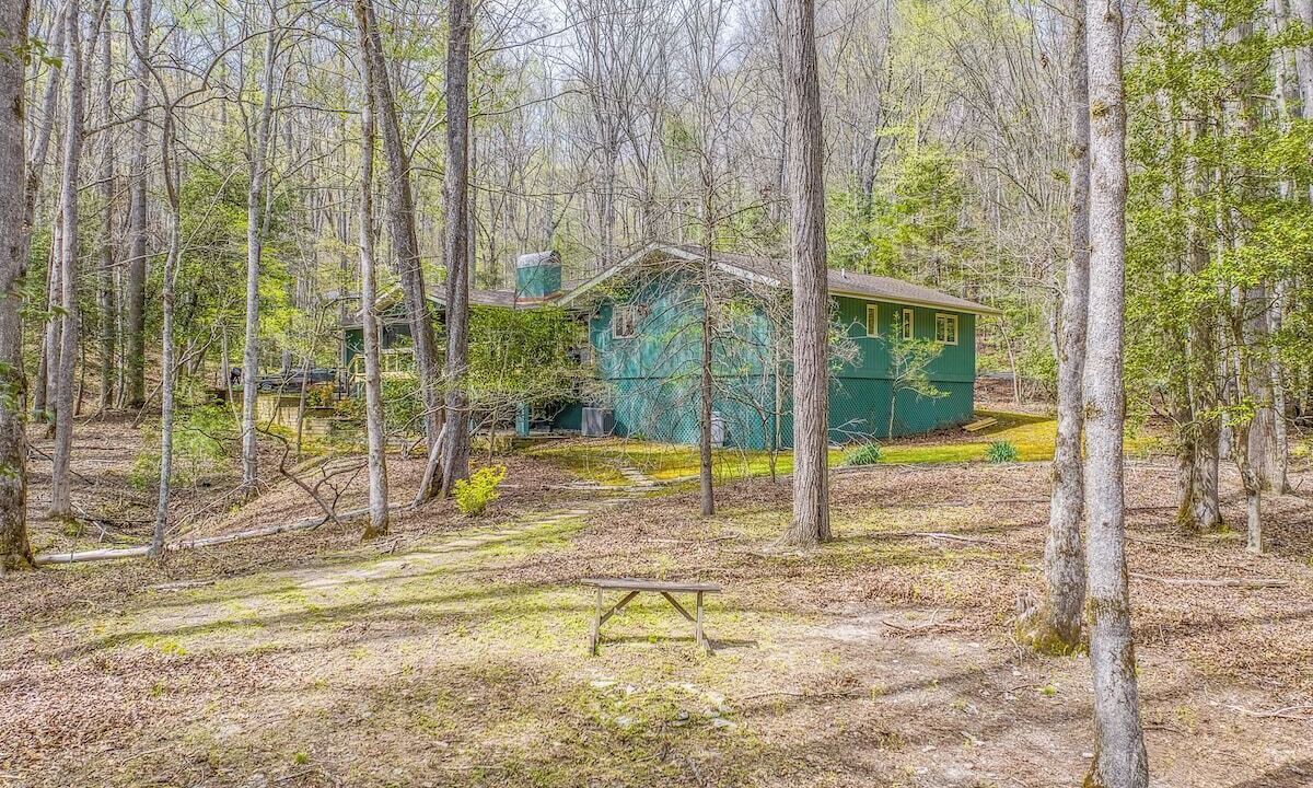 Photo of Outdoor in Pisgah Forest