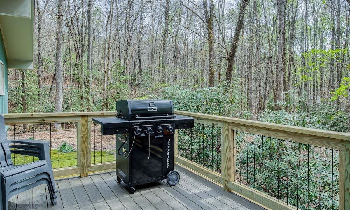 Photo of Others in Pisgah Forest